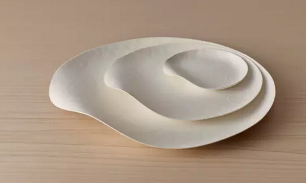一次性餐具竟然美得像藝術(shù)品?。?）.png